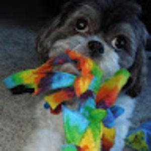 Meet your Posher, Jean